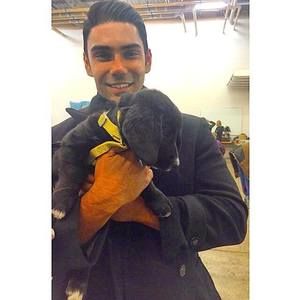 Meet your Posher, Neel